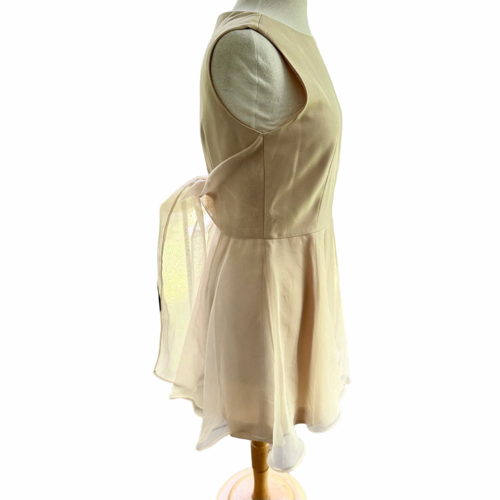 Ann Taylor Fit Flare Beige Size 10 Dress Sleeveless Formal Organza With Bow - Picture 3 of 11